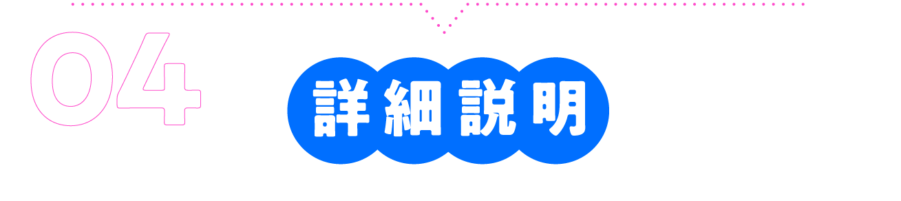 詳細説明